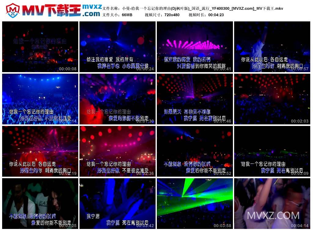 小曼-给我一个忘记你的理由(Dj枫叶版)_国语_流行_YF400300